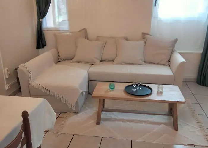 Rez-de-chaussée Avec Cour