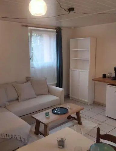 Rez-de-chaussée Avec Cour Apartamento *