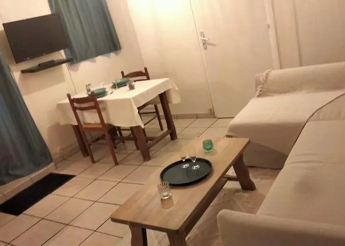 Rez-de-chaussée Avec Cour