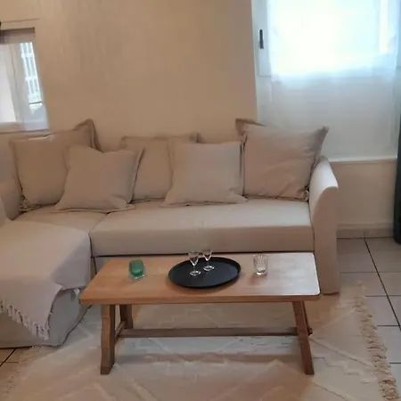 Rez-de-chaussee Avec Cour